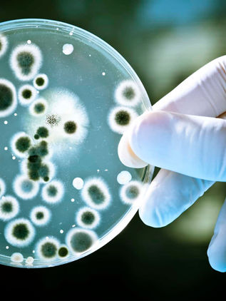 Desarrollan bacterias que comen CO2