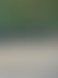 MACABRO HALLAZGO EN LA VÍA PÚBLICA: Segundo cuerpo localizado en bolsas en menos de 48 horas en Tapachula