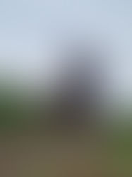 Todo un clásico en pista