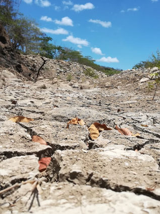Clima coloca en emergencia alimentaria al Corredor Seco centroamericano