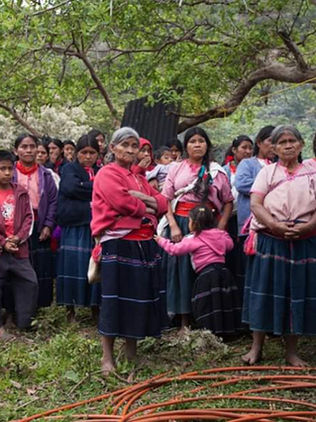 Demandan organizaciones mejor atención ante el Covid-19