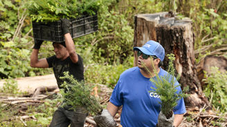 Voluntarios se suman a programa de reforestación para plantar 12.000 árboles en México