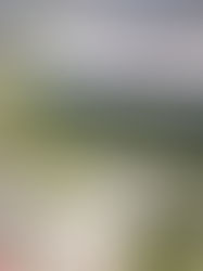 Estadio Akron presta instalaciones para ayudar