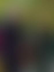 México se fortalece: 2,000 empresas alemanas listas para seguir invirtiendo