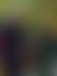 México se fortalece: 2,000 empresas alemanas listas para seguir invirtiendo