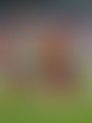 España derriba el muro