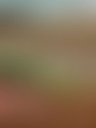 México en la historia olímpica