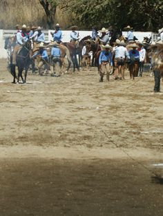 Van en honor a la Virgen