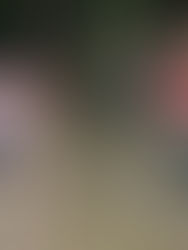 López Obrador admite que optó por "inundar" zonas indígenas