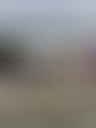 Golpe al narcomenudeo en Tuxtla: Detienen a seis personas tras cateo en la colonia Loma Bonita.