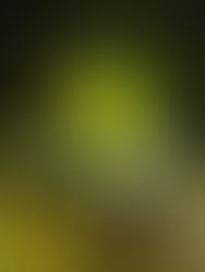 Competencia de alto nivel