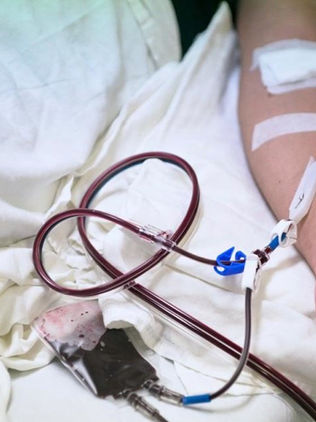 Comienzan a tratar pacientes COVID-19 con plasma convaleciente