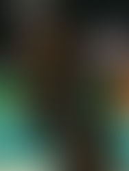 Insultos racistas a Schroder