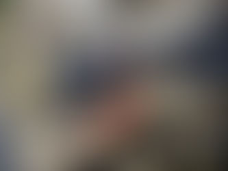 EEUU asegura haber matado o capturado al menos 25 agentes del Estado Islámico en Siria