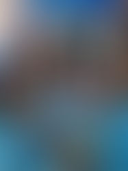 Pachuca Campeón del Clausura 2022 de la Liga MX