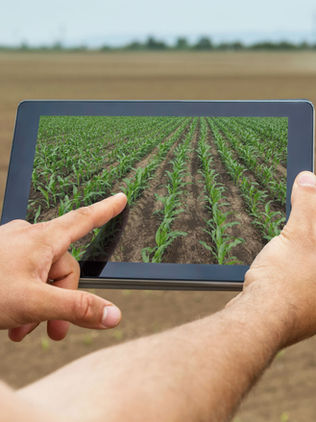 Agricultura de precisión para aumentar la producción del campo mexicano