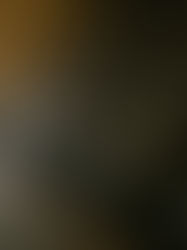 Exportación de tequila crece casi un 30 % en enero con EUA como principal comprador