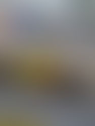 Animado por resultados