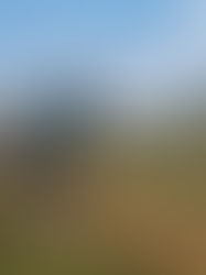 Clásico Independencia listo