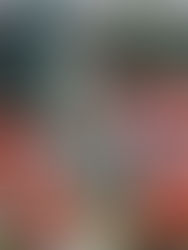 Listos para cazar Dragones