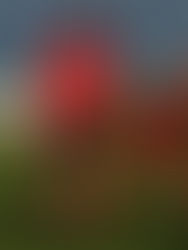 Agotan las posibilidades