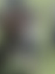 Volvieron a la actividad