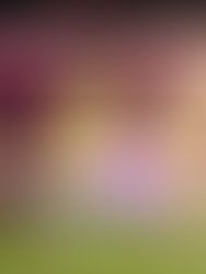 Lo mejor de la J13 del Apertura 2023 de la Liga MX :América demuestra pegada