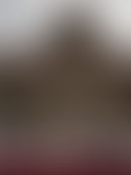 Me comprometo a ser una presidenta que entregue lo mejor de si misma por el bienestar del pueblo de méxico 