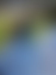 La primera persona vacunada de covid-19 en EE.UU. recibe la segunda dosis