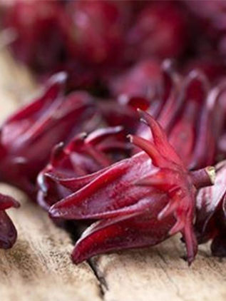 Estudiantes del IPN desarrollan tinta para plumones con flor de Jamaica