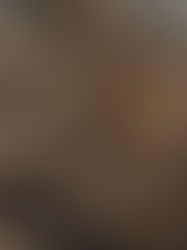 Descubren una nueva especie de hongo en un desierto australiano