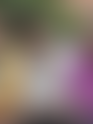 El Mundial que no quisieron ver: Así fue el histórico México 71 silenciado por el machismo