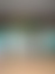 Santos tiene nueva piel