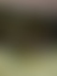 Buscan a los clasificados