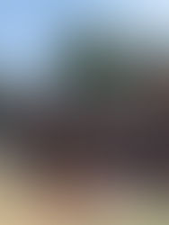 Avíos gana título femenil