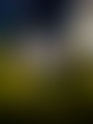 Tokio 2020 primeros Juegos Olímpicos con igualdad de género