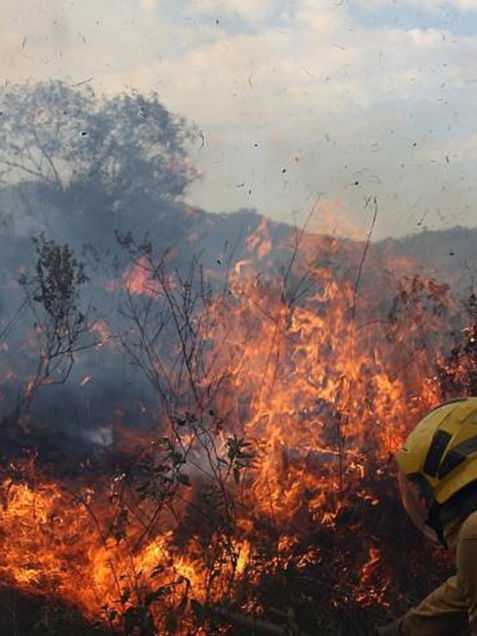 Desarrollan satélite australiano para predecir incendios