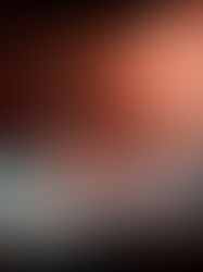 Esta pantalla te permitirá saborear platos de alta cocina siempre y cuando estés dispuesto a lamerla