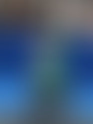 México suma tres bronces en segunda jornada de los Juegos Paralímpicos París 2024