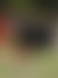 Llegó la hora del debut