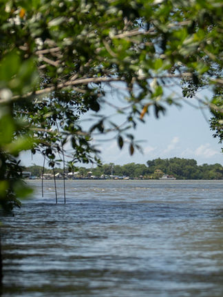 Mesoamérica busca proteger el 30 por ciento de su territorio y mares para 2030