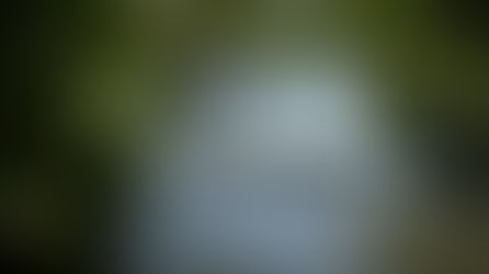 Mesoamérica busca proteger el 30 por ciento de su territorio y mares para 2030