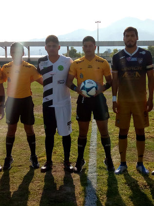 Ocelotes sigue sumando puntos