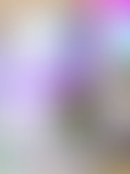 Escasez de medicamentos onco-pediátricos va más allá de la compra consolidada