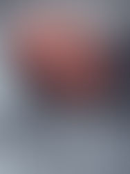 El cerebro que sueña está muy despierto