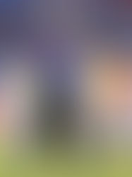 Ferretti conoce el camino