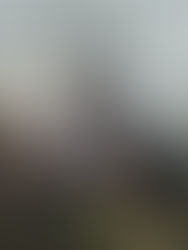 Hacen labor en Chihuahua