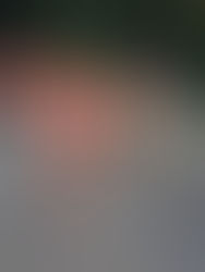 Cumplen contra la Polio