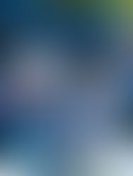 Un grandioso festejo