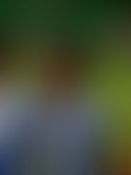 Silva desatasca el partido y encarrila la clasificación de la Real